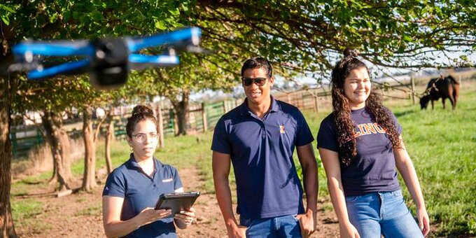 Students flying a drone over livestock.